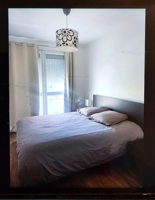 Chez Pascal Sissi -Grand Appart,Ile Nantes, Ccgres Buitenkant foto